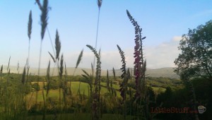 remote holiday cottage brecon beacons