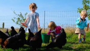 children collect eggs on farm holiday